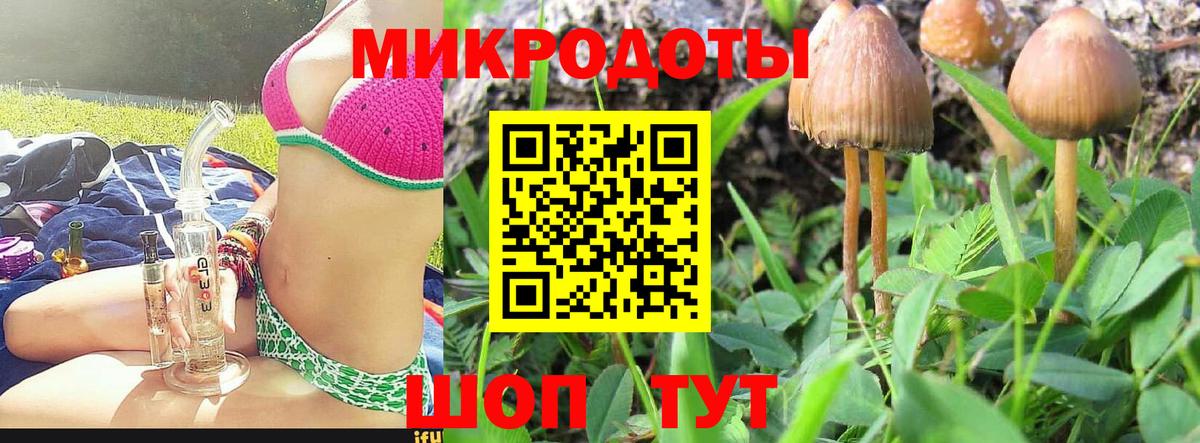 Псилоцибиновые грибы GOLDEN TEACHER Калуга